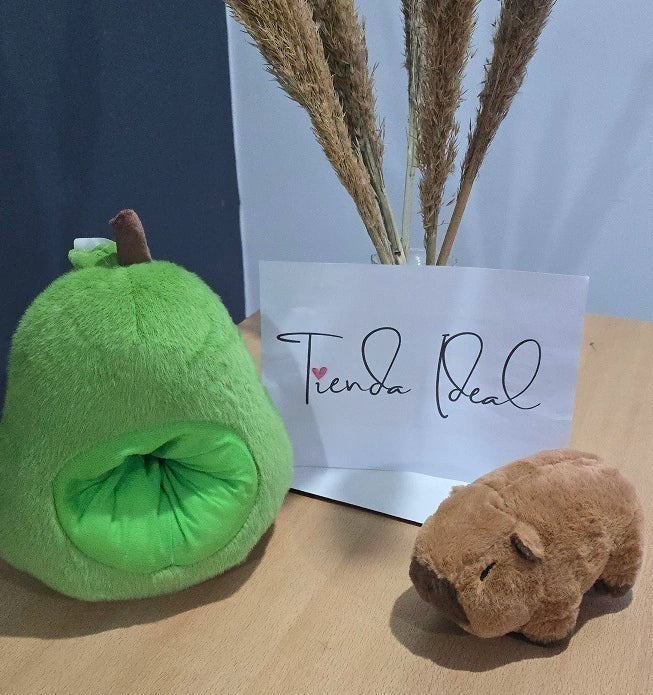 MISTERY BOX FAN DE CAPYBARA - Pagá AL RECIBIR + Envío GRATIS