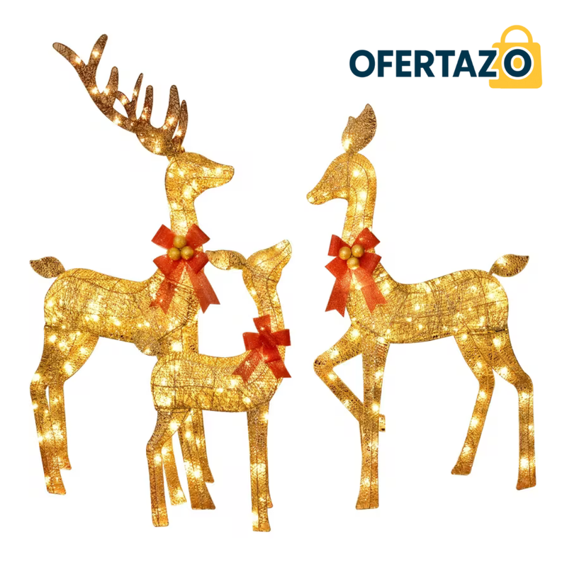 Decoración Navideña 3D LED para Exterior e Interior | Lleva 6 Paga 3