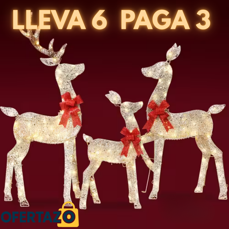 Decoración Navideña 3D LED para Exterior e Interior | Lleva 6 Paga 3