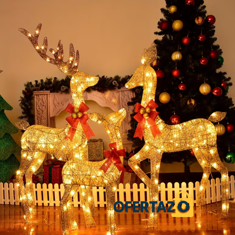 Decoración Navideña 3D LED para Exterior e Interior | Lleva 6 Paga 3