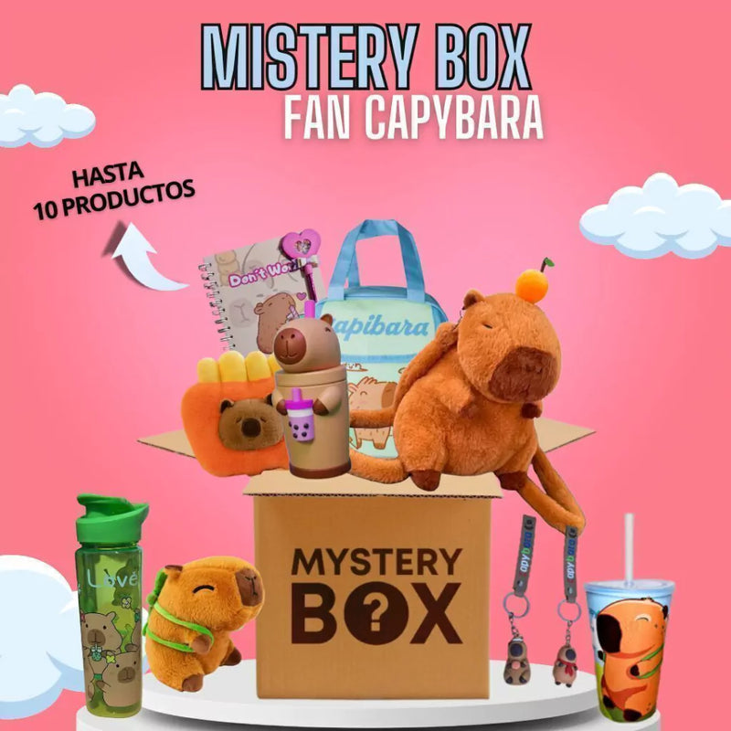 MISTERY BOX FAN DE CAPYBARA - Pagá AL RECIBIR + Envío GRATIS