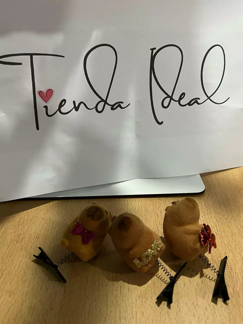 MISTERY BOX FAN DE CAPYBARA - Pagá AL RECIBIR + Envío GRATIS