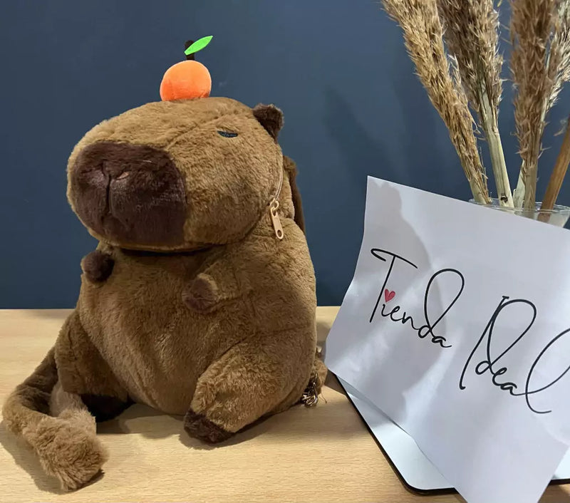 MISTERY BOX FAN DE CAPYBARA - Pagá AL RECIBIR + Envío GRATIS